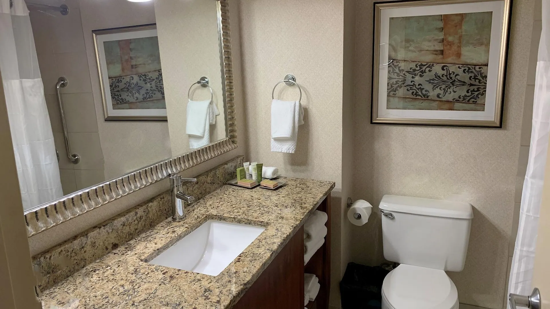 Hotel Hilton New York Jfk Airport 4*,
