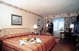 Hotel Hilton New York Jfk Airport 4*,